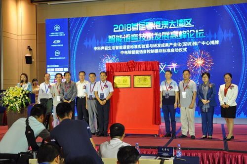 中科聲輕生活智能語(yǔ)音標(biāo)準(zhǔn)深圳實(shí)驗(yàn)室揭牌 開(kāi)啟智能語(yǔ)音技術(shù)開(kāi)發(fā)新篇章